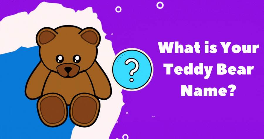 What Is Your Name Teddy Bear?